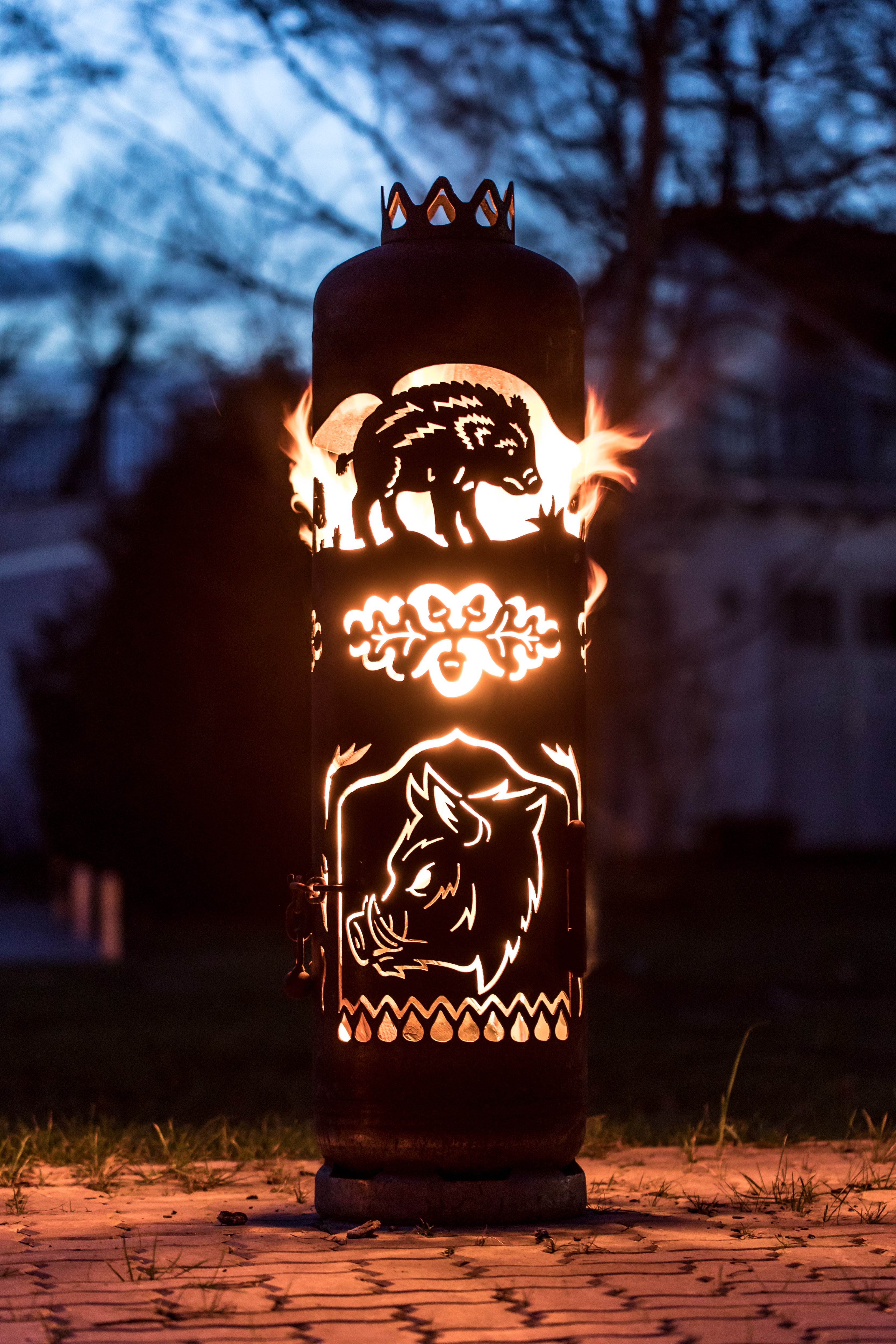 Feuerstelle Wildschweine