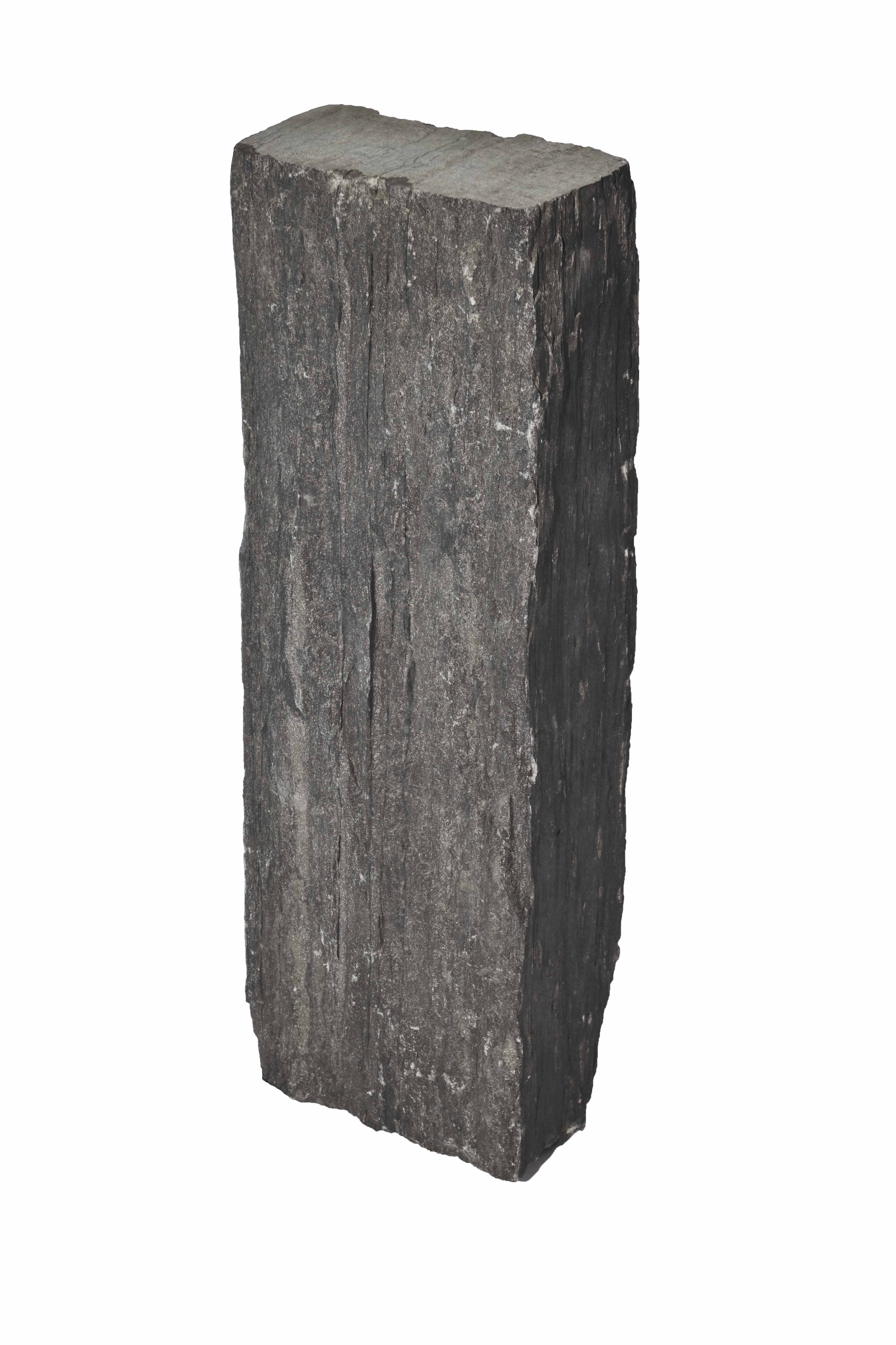 Primero Palisade ca. 0,50m lang 10er SET