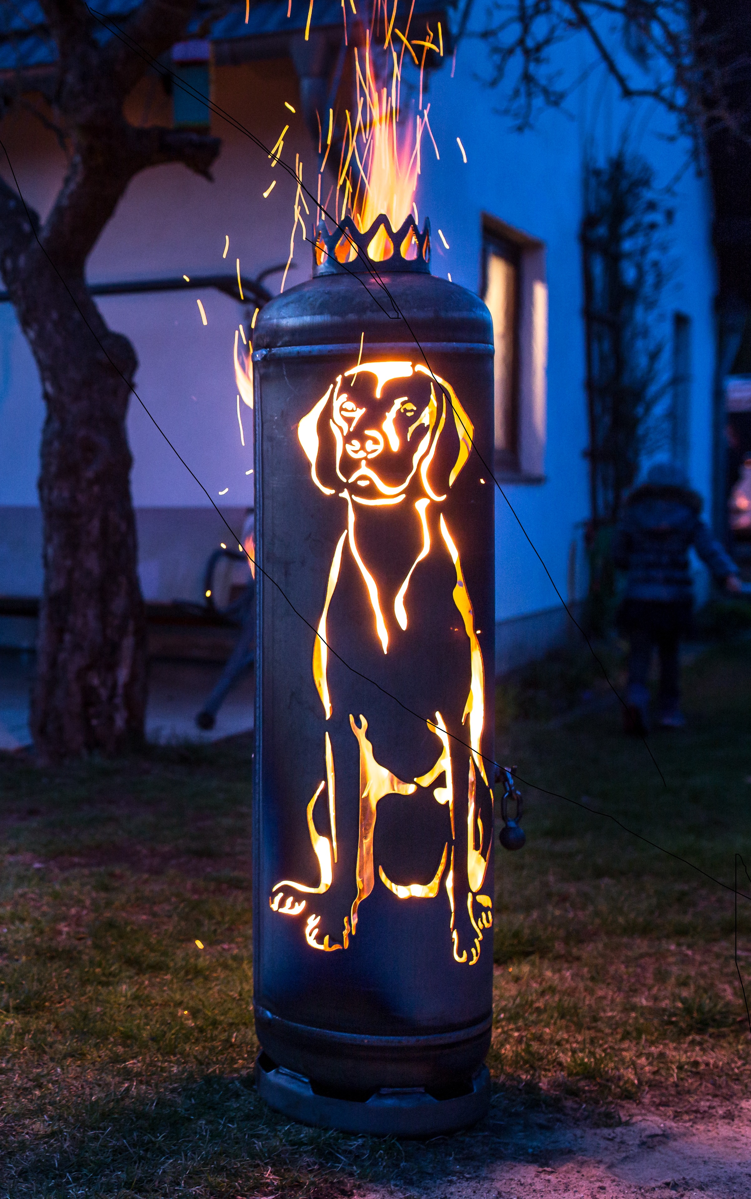 Feuerstelle Vizsla